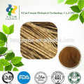 Hot quality fresh burdock root & burdock root powder & burdock root extract